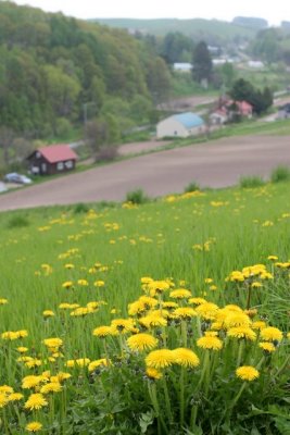 IMG_2599.JPG