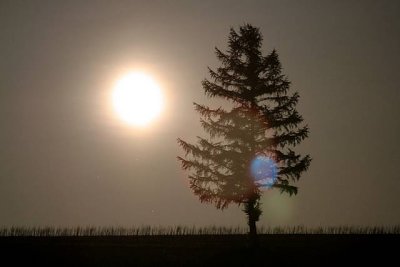IMG_3547.JPG