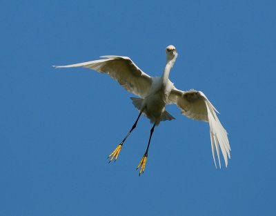 2155.jpg