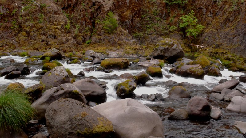 North Fork of Middle Fork of Willamette River