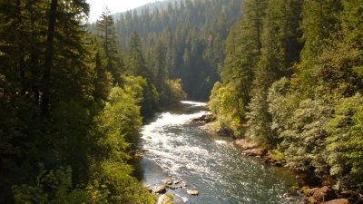 If its Wednesday, this must be the Upper Umpqua, or maybe Canton Creek