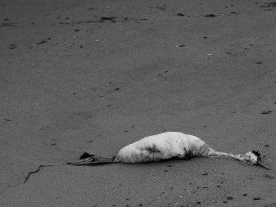 end of journey.jpg