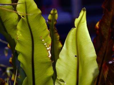 PICT2404.JPG