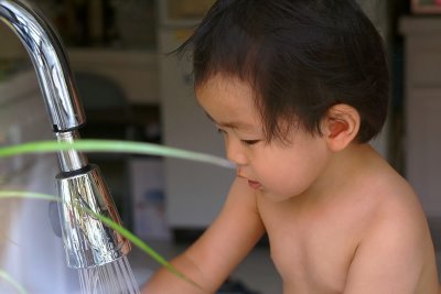 PICT4253.JPG