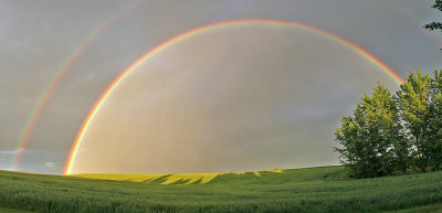 Rainbow pano at Spangle Washington