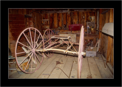 Bodie