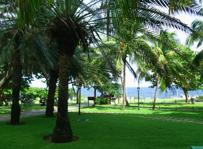 IMG_0058 copia.jpg