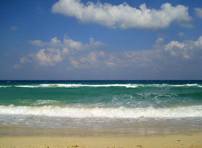 IMG_0108 copia.jpg