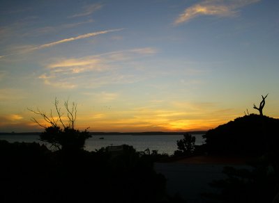 IMG_0151 copia.jpg