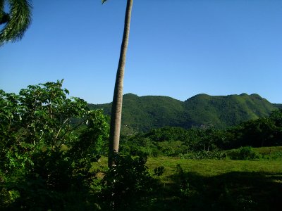 IMG_0163 copia.jpg