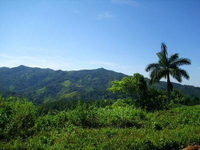 IMG_0164 copia.jpg