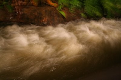 IMG_8146.JPG