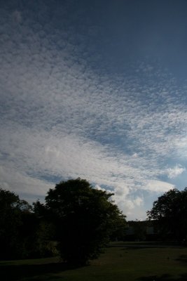 IMG_4985.JPG