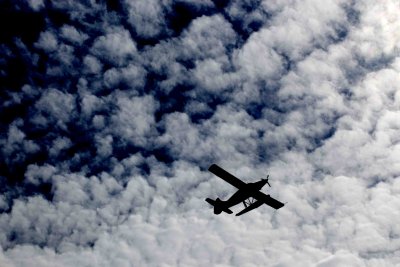 MinoruPark_Plane_0043a.jpg