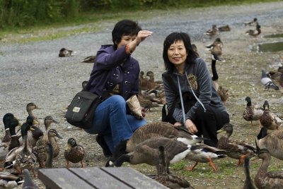 ReifelBirdSanctuary_0069a.jpg