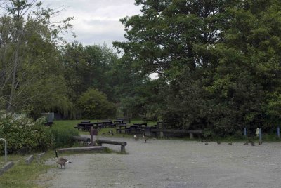 ReifelBirdSanctuary_0106a.jpg