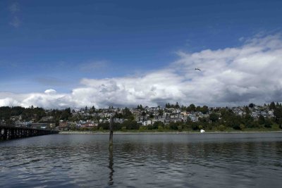 WhiteRock_0057a.jpg