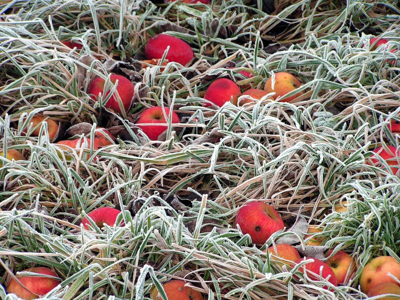 december_2006