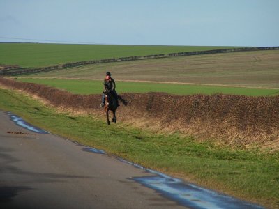 Near Middleton on the Wolds