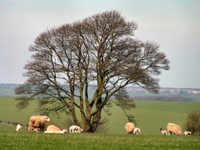 Near Huggate