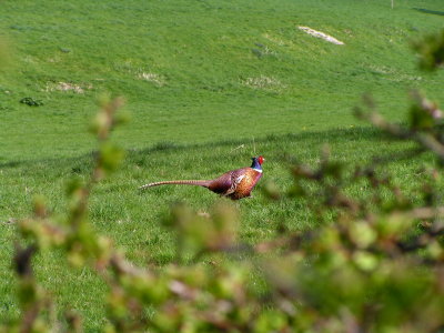 Near Warter