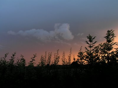 Near Middleton on the Wolds