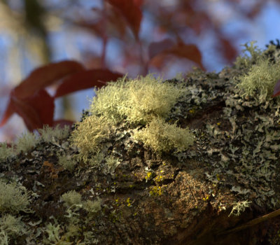 port_townsend