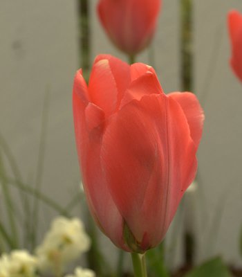 IMG_4054.jpg