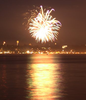 fireworks_2007