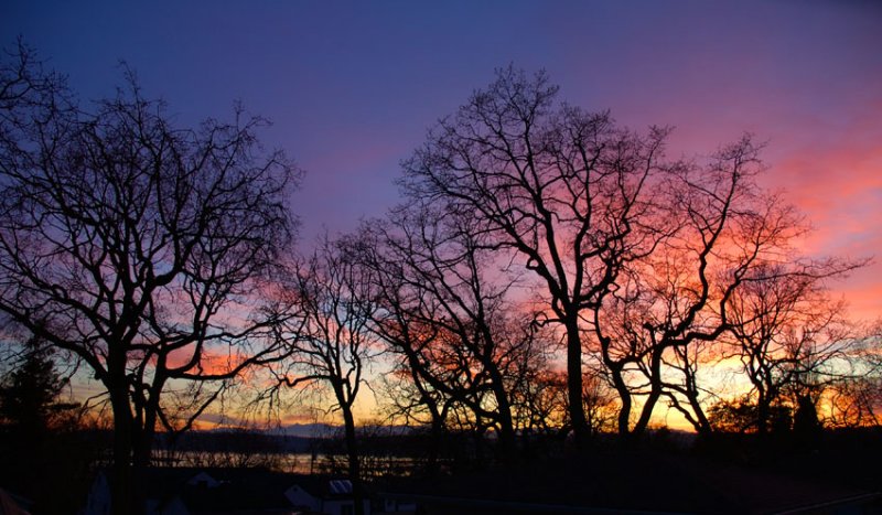 Oak Harbor Sunset