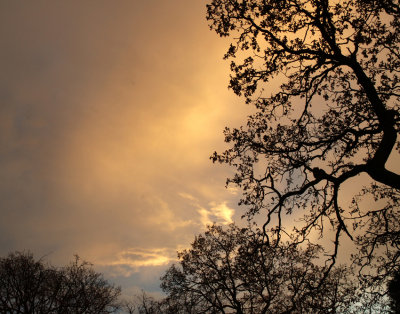 Moody sky