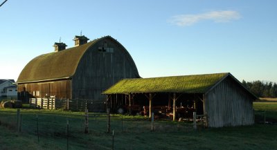 Taylor Road Barn