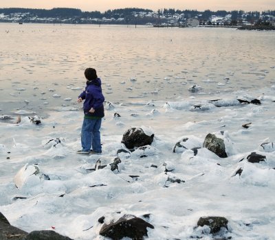 Oak Harbor frozen