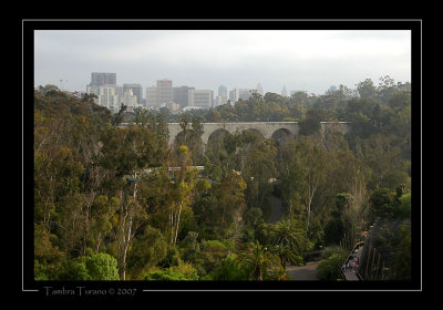 Downtown San Diego from the Zoo