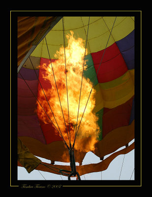 Temecula Valley Balloon & Wine Festival 2007