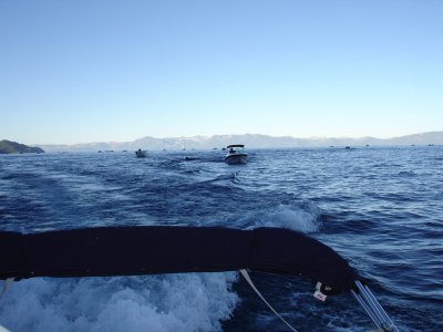 DSC03987_resize.JPG