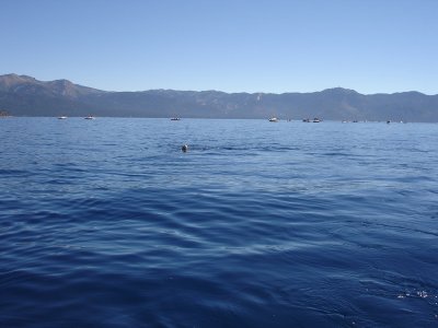 DSC04013_resize.JPG