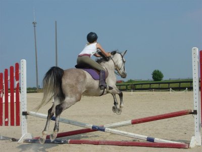 DSC07808 (Large).JPG