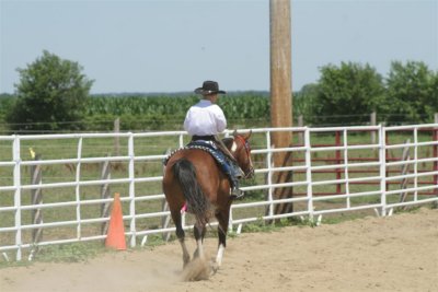 IMG_9206 (Large).JPG