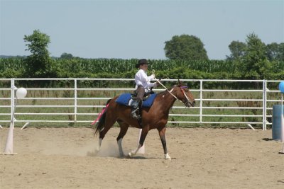 IMG_9208 (Large).JPG