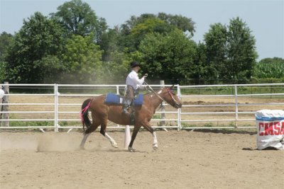 IMG_9210 (Large).JPG