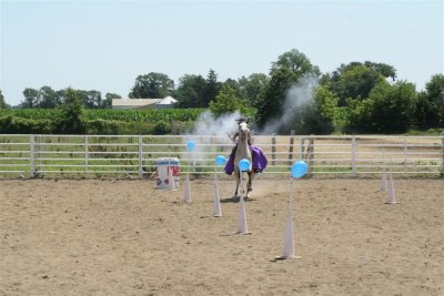 IMG_9098 (Large).JPG