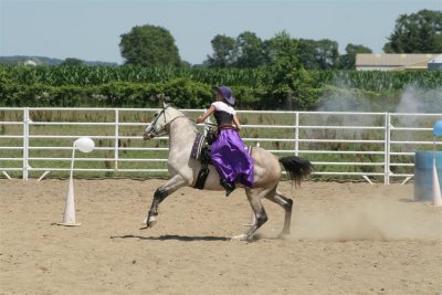 IMG_9195 (Large).JPG