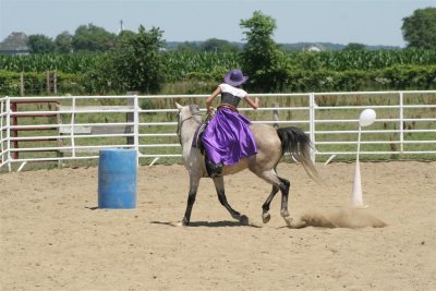 IMG_9196 (Large).JPG