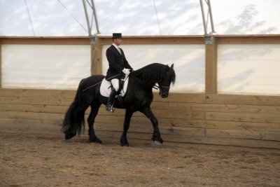 FSHR Dressage Test