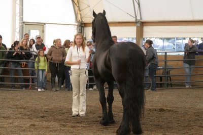 Hendrik