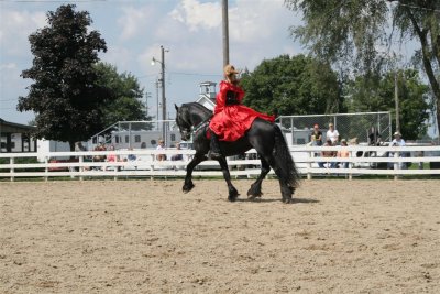 IMG_0400 (Large).JPG