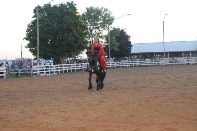 IMG_0821 (Large).JPG
