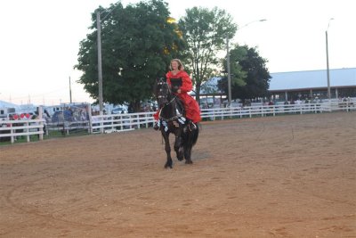 IMG_0822 (Large).JPG
