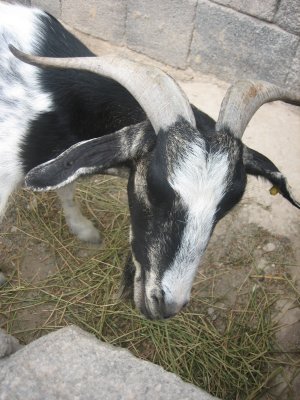 IMG_1428.JPG